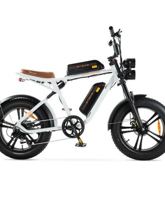 Bicicletta elettrica Engwe M20 - doppia batteria