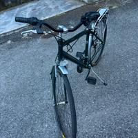 Bicicletta Regina uomo
