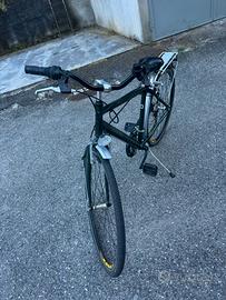 Bicicletta Regina uomo