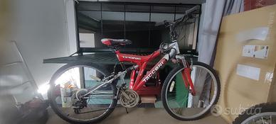 Bicicletta Mountain bike 