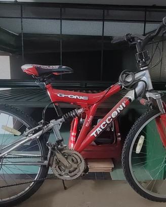 Bicicletta Mountain bike 