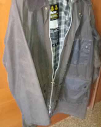 Barbour 