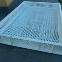 cassette di plastica 