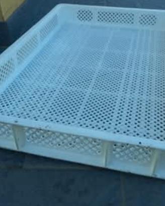 cassette di plastica 