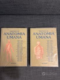 Libri di Anatomia Anastasi Edi Ermes
