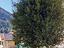 Immagine 23