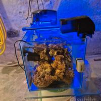 piccolo acquario marino mediterraneo 