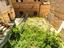 Immagine 21