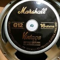 Coppia Coni Marshall 16 Hom