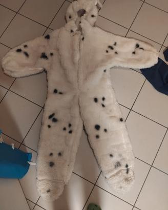 vestito cane dalmata