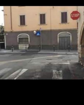 Basso commerciale 