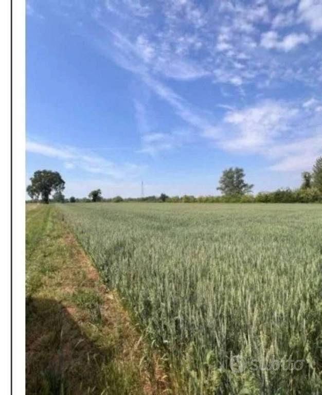 Immobile in asta di 15080 m² a Remedello - Vista 2