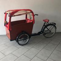 Bicicletta Cargo