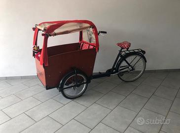Bicicletta Cargo