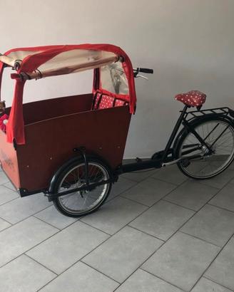 Bicicletta Cargo