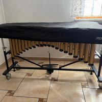 Vibrafono ROSS VSC
