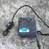 centralina polini ECM per liberty 50 2020 