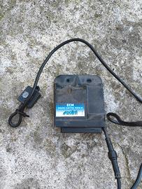 centralina polini ECM per liberty 50 2020 