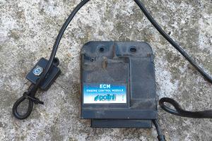 centralina polini ECM per liberty 50 2020 