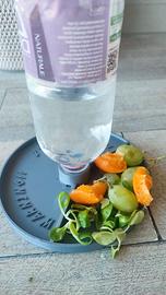 mangiatoia beverino per tartarughe