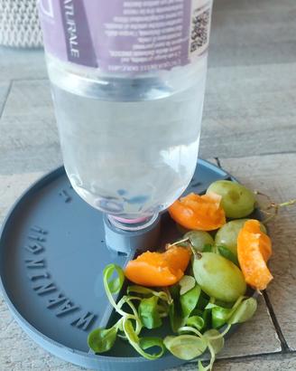mangiatoia beverino per tartarughe
