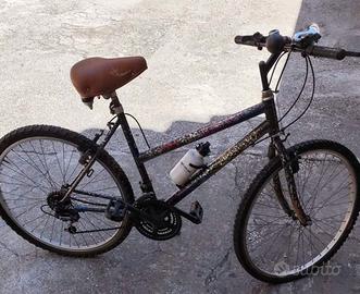 bici Mountain bike