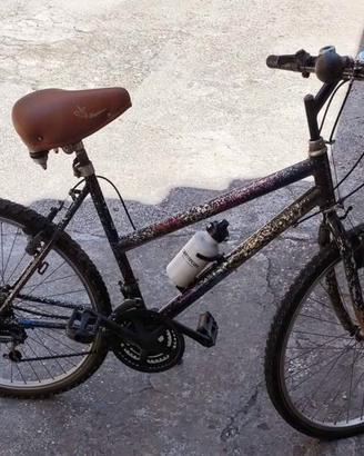 bici Mountain bike