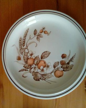 Piatti di Porcellana Royal Tudor