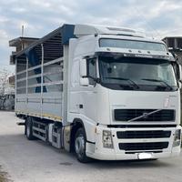 Volvo fh 440 2 assi 180q centinato mt 7.77 2
