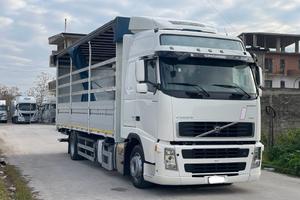 Volvo fh 440 2 assi 180q centinato mt 7.77 2