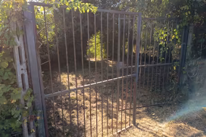 Terreno agricolo