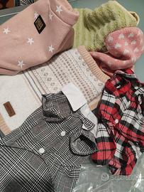 Vestiti, camicie, felpe e maglie. Gatto/Cane