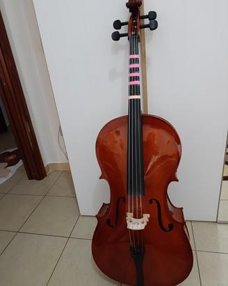 Violoncello 3/4 con custodia e leggio.