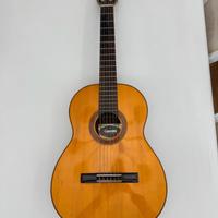 Guitar Giannini ser 2/1979 mod AWN 71