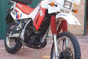 KAWASAKI KLR 650 1987 PERFETTO CONSERVATO