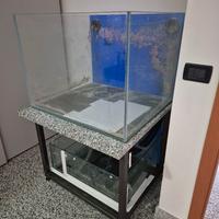 Vetro acquario marino