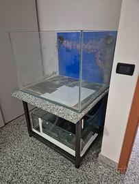 Vetro acquario marino