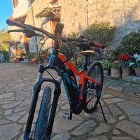 Bicicletta elettrica rebel