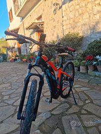 Bicicletta elettrica rebel