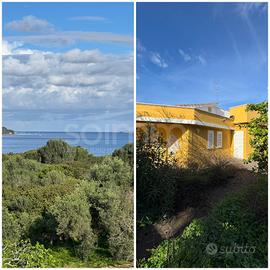 Villa - Carloforte