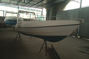 Barca 5 metri motore 40cv 4 tempi