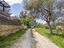 Immagine 25