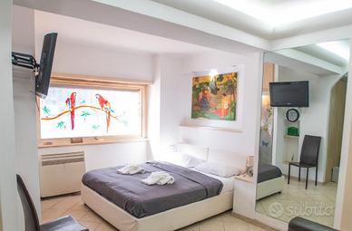 Monolocale arredato Vaticano - Metro Cipro