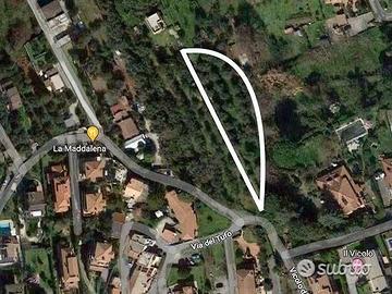 Terreno uliveto 2000mq