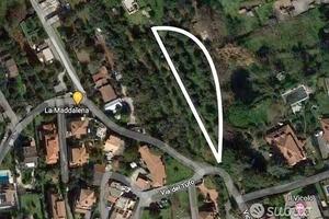 Terreno uliveto 2000mq