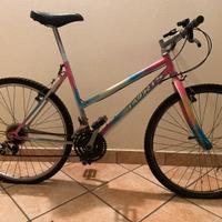 Mountain bike da donna