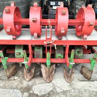 Pianta ortaggi o verdure 