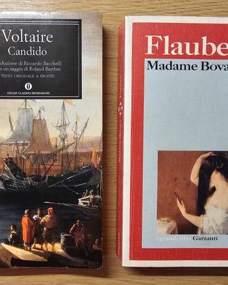 2 classici della letteratura 🇲🇫