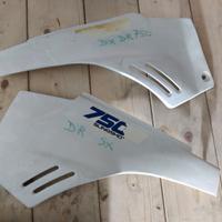 Fianchetti Suzuki dr Big 750