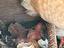 Immagine 5